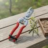 Fruit Tree Girdling Pliers Branch Tool NonSlip Handle Bud Notching Pruners for Gardeners,
