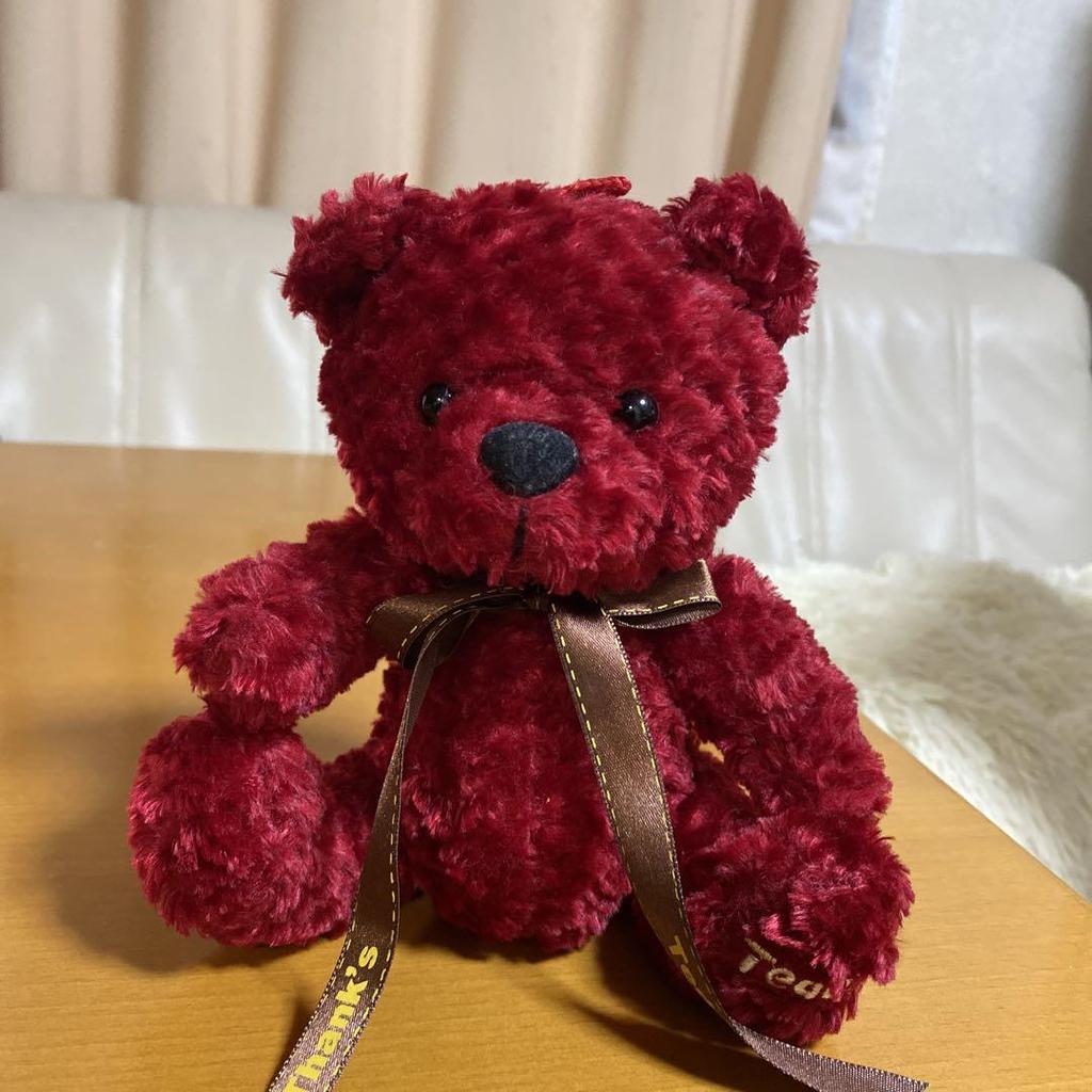 [USED] Red teddy bear