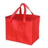 Sac fourre-tout isotherme de 35 L, grande capacité, avec fermeture éclair et large sangle, idéal pour la plage, la pêche et la randonnée.
