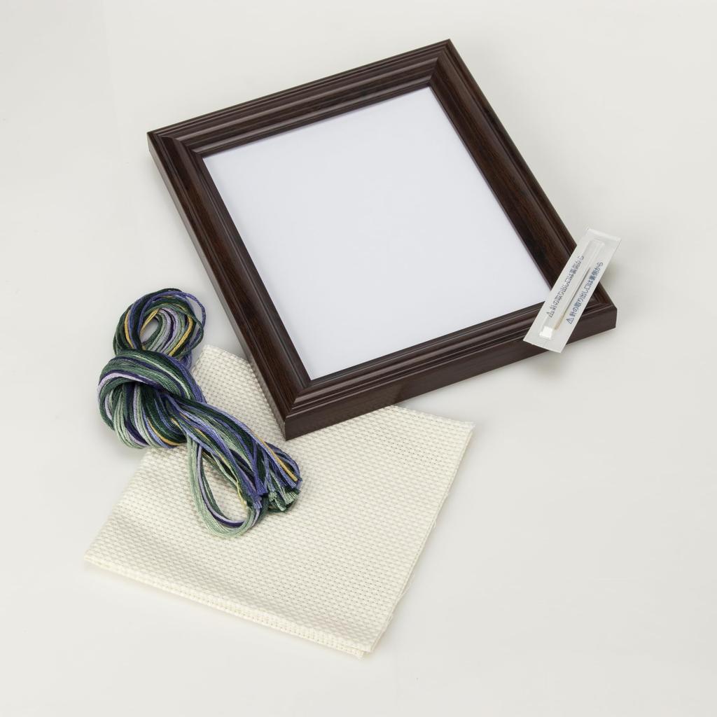 Lucien Seasonal Flower News Cosmos (October) 7630