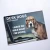 Dog Calendar Collection 12 Month Wall Desk Calendar