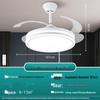 UOSU 42-inch Inverter Ceiling Fan with Dimmable Light