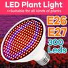 Illuminazione professionale – Lampade per coltivazione indoor