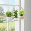 Pack of 1 Clear Acrylic Plant Holder for Succulents Home Decoration Easy Installation Shelf for Window