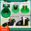 Automatic Sheep Water Bowl with Copper Valve and Plastic Trough