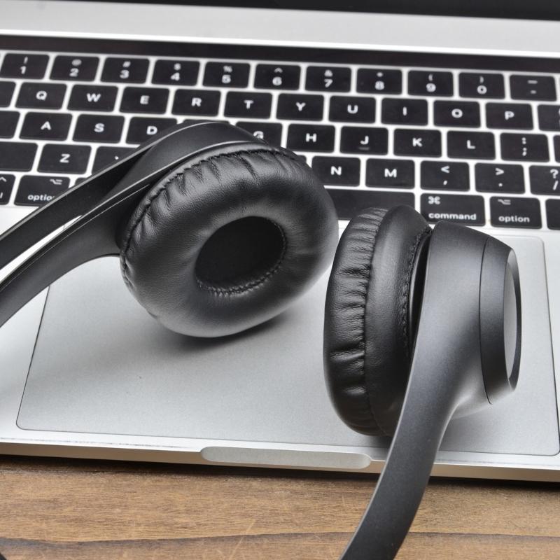 Fashionable Ear Pad Ear Cushions Compatible for Zone300 301 305 Headphones Enhances Comfort and Noise Isolation Earpads