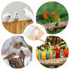 Parakeet Nesting Box Wood Bird Cage House Easy To Clean Transparent Bird Nesting Box For Budgie Bird Breeding Box