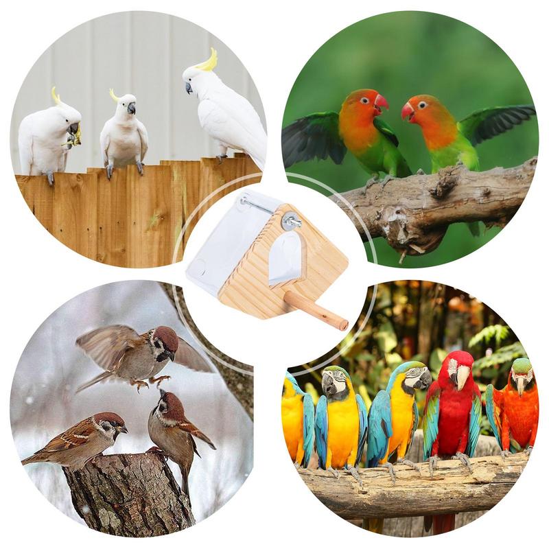 Parakeet Nesting Box Wood Bird Cage House Easy To Clean Transparent Bird Nesting Box For Budgie Bird Breeding Box
