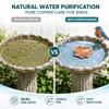 Outdoor Garden Bird Bath Copper Disk Reusable Water Basin Maintenance Accessory for Wild Bird Drinking and Bathing Areas