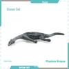 Marine Animal Model Set: Shark, Turtle, Dolphin, Whale, Penguin, Crab, and Seabed Creatures