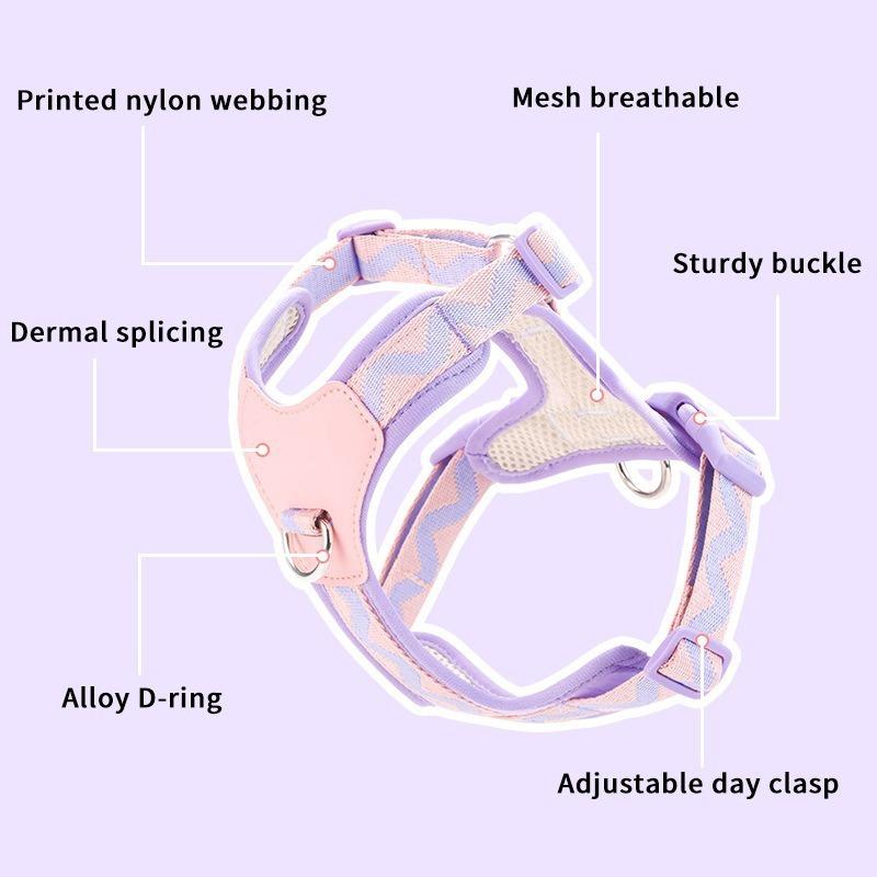 Dog Harness and Leash Set for Small Medium Dogs, Lightweight Breathable Mesh Puppy Harness, Adjustable Soft Pet Vest for Walking