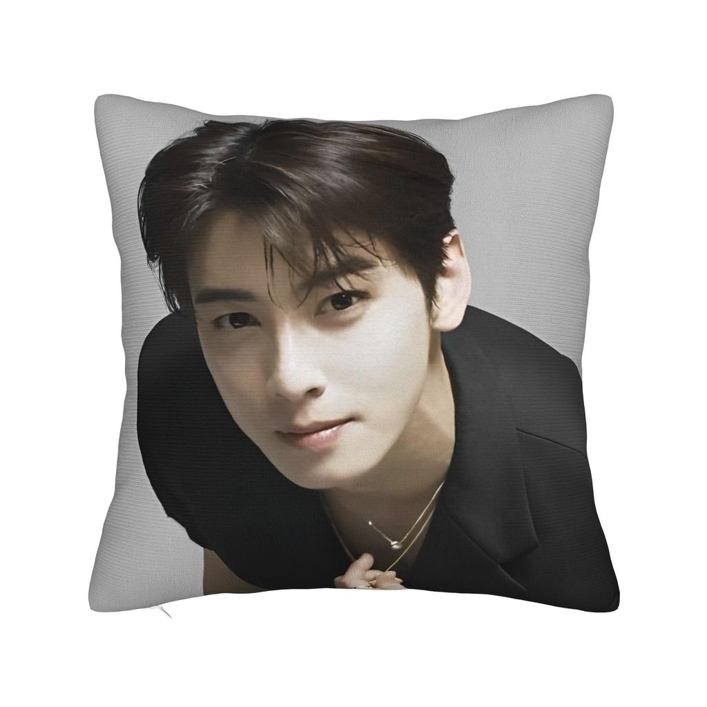 Cha Eun Woo Poster Throw Pillow Cover Polyester Decorative Pillow Fashion Pillowcover Home Decor