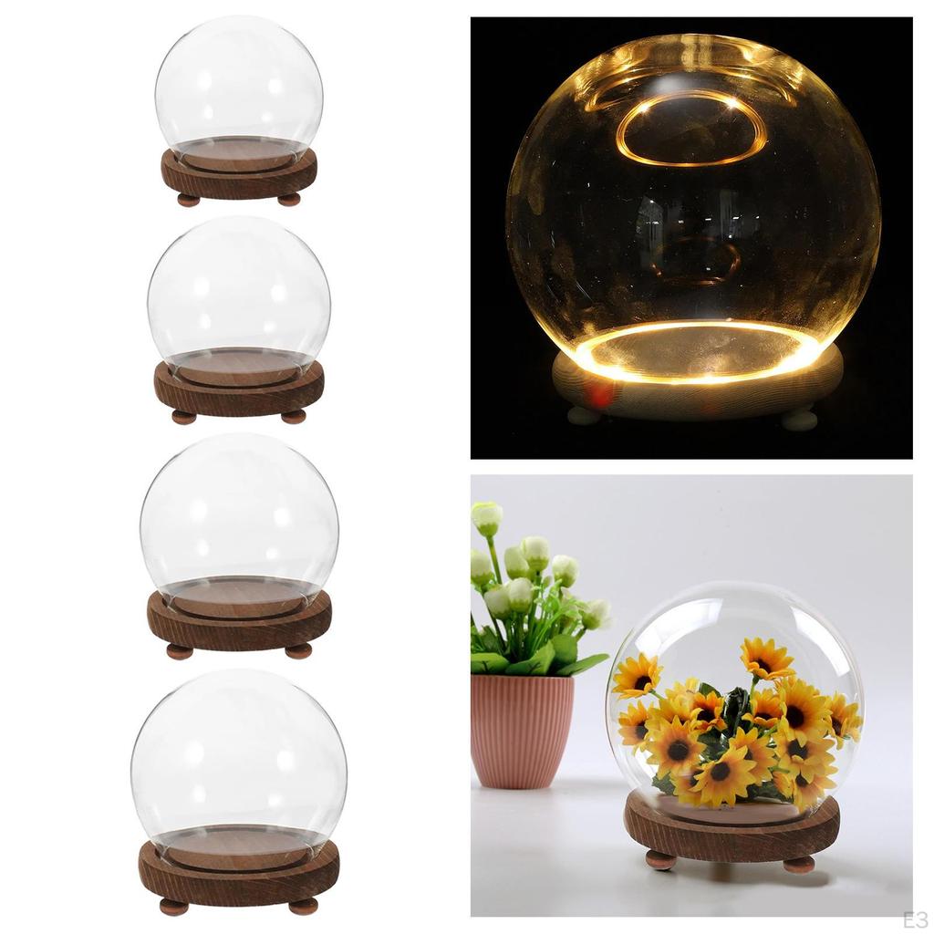 Clear Glass Display Case Dustproof Dome Premium Ball Shaped Decorative Stable Plant Flower