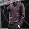 Giacca da motociclista in pelle da uomo primaverile, giacca invernale, versione coreana, slim-fit, giovanile, casual, top in pelle PU