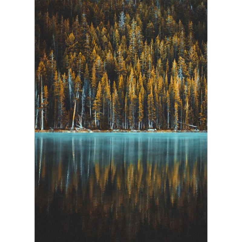 İskandinav doğal manzarası, yeşil orman, yol, dağ gölü, poster, tuval, resim, modern oturma odası için duvar sanatı,