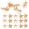 200Pcs Star Rivets 5‑Pointed Star Claw Nails DIY Bags Hats Decoration Accessories 10MMGold