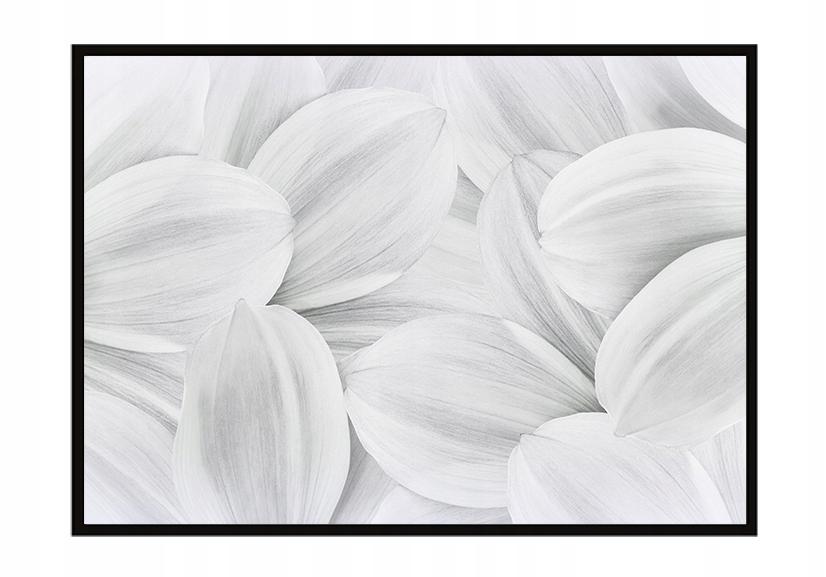 Bildposter Gerahmt 43x33 cm Blütenblätter P938