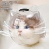 Breathable Cat Bubble Muzzle Transparent Pet Grooming Mask Cat Astronaut Helmet  Pet Safety