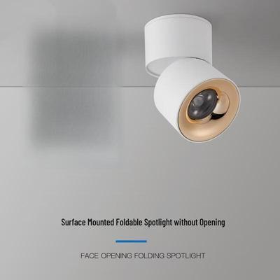 Oeny Adjustable Rotating LED Spotlight