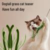 Bite-Resistant Cat Teaser Wand Toy for Self-Play and Boredom Relief
