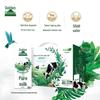 Yili Jindian Pure Whole Milk (250ml x 12 Pack)