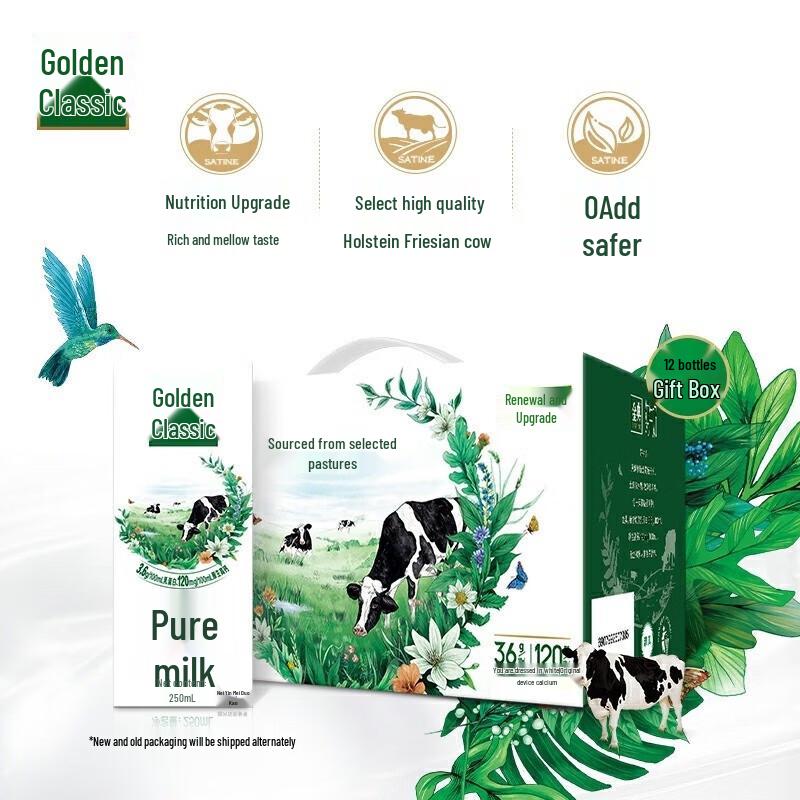 Yili Jindian Pure Whole Milk (250ml x 12 Pack)