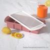 Silicone Ice Cube Tray with Lid: 4-Grid Frozen Soup & Food Storage Box