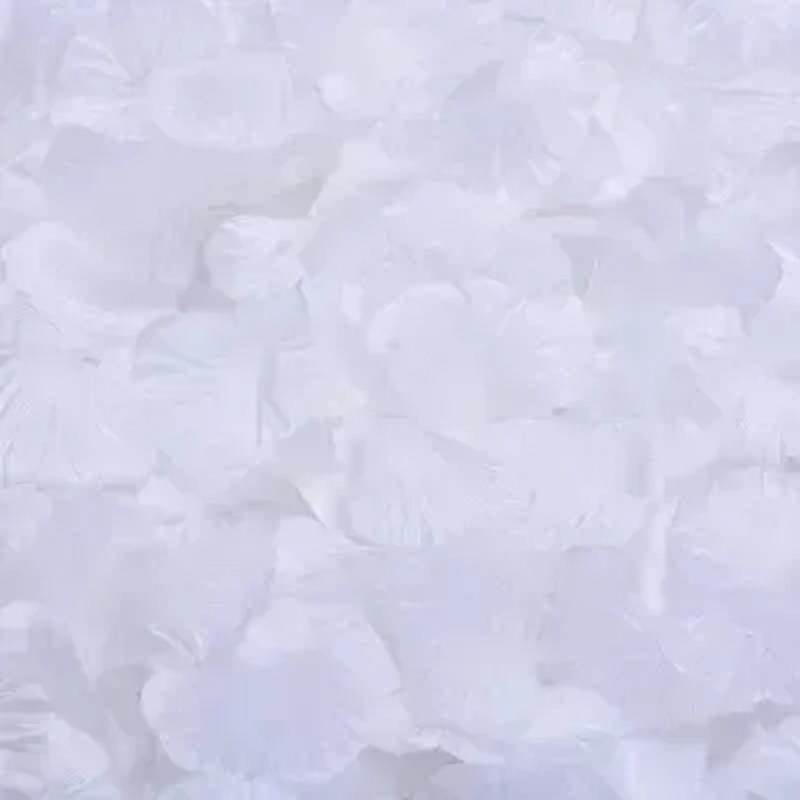 The Wedding Room Is Decorated With Simulated Rose Petals, The Proposal Is Arranged With Romantic Wedding Flowers, Creating A Romantic Atmosphere