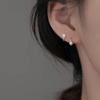925 Sterling Silver Star Stud Earrings - Niche Design, High-End Feel, 2026 New Collection, Women’s Accessories