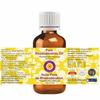 Deve Herbes Pure Rhododendron Oil (Rhododendron Anthopogo) | Cold Pressed | Natural | Undiluted | For Diluting Essential Oils | For Skin & Massag