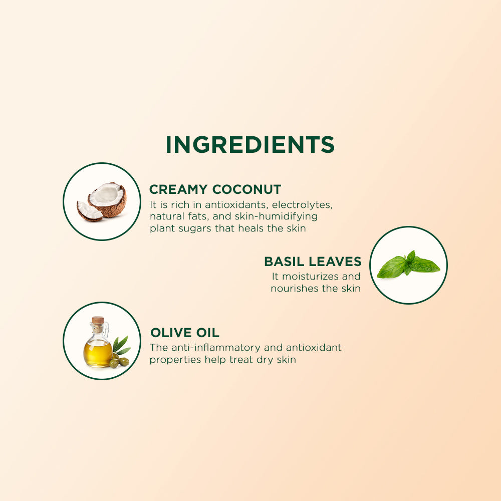 Biotique Creamy Coconut Body Lotion 180ml For Dry Skin, Deep Nourish & Repair, 100% Botanical Extracts, Moisturizing Hydration