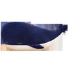 Whale Doll Throw Pillow Plush Toy Dolphin Doll Cute Holding Sleeping Doll June 1 Children's Day Gift Girl