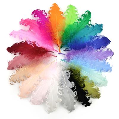 20 Pezzi Piume d'Oca Colorate a Spirale per Artigianato 12-18 cm Dream Catcher Piuma Decorazione Artificiale Accessori Fai da Te Matrimonio Festa