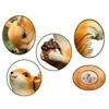 Adorable Animal Garden Decoration Squirrel Statue Lifelike Design