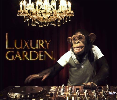 

CD VARIOUS SOUL CENTRAL STUDIO APART Luxury Garden MOMU0500 Japan Jazz Used