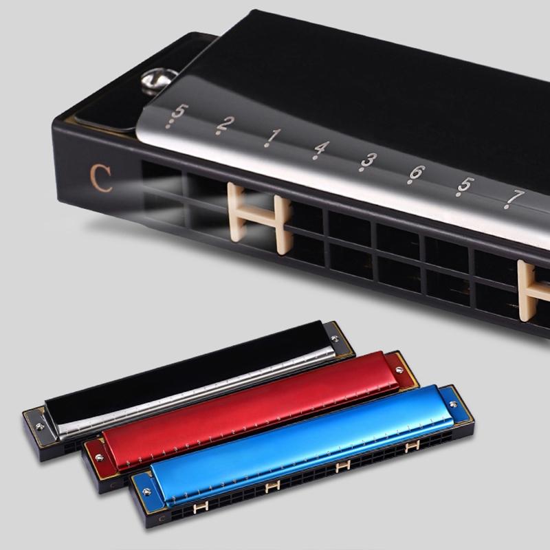 24-Hole Professional Harmonica for Beginners, Diatonic Double Tremolo Harmonica for Adults Music Student Teacher Gift