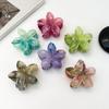 Gradient Flower Hair Accessories Set Beach Style Hairpins Flower Claw Clips Summer Flower Hairpins Hawaiian Style