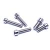 Fengzhi 201 Stainless Steel Hex Socket Cap Screws