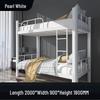 Xieyu Dormitory Loft Bed with Desk
