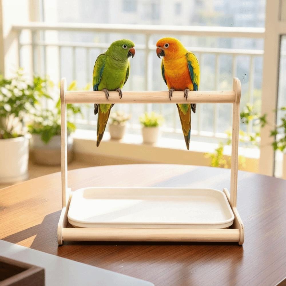 Anti-Splash Design Parrot Potty Training Platform Pet Bird Perching Stand for Small Parrots