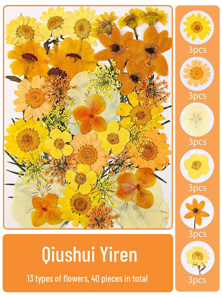 

Прозрачная закладка из сухоцветов своими руками: Образец, капельный клей, рельефные наклейки для детей