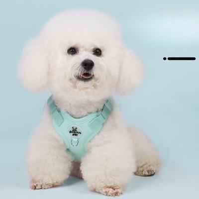 Vodítko pro psy pro malé psy, plyšový medvídek bišon, vesta, prodyšný hrudní popruh, který zabraňuje zlomení volného vodítka pro domácí mazlíčky, venkovní psí chůzi