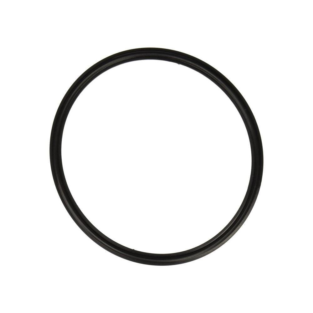 

SPX0540Z2 Pool Light Lens Gasket Replacement