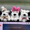 Cute Puppy Car Windshield Wiper Decorations Interior Plush Doll Creative Gift Shoulder Pads Car Interior Decoration Accessories