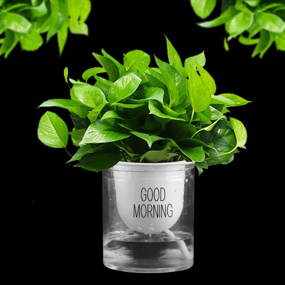 Drip Irrigation Hydroponic Self Wick 4/5/6/8mm Watering Wick Cord Absorbent Cotton Rope  for Plants