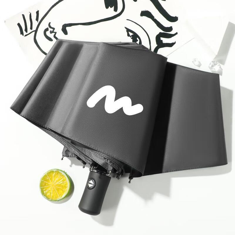 Compact Automatic Folding Umbrella