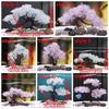 Realistic Aquarium Cherry Blossom Plastic Landscape Tree Fish Tank Ornament  Pet Accessories