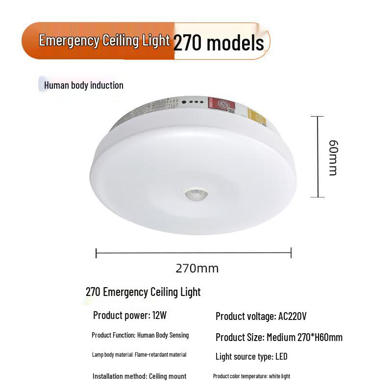 Siyian Aurora Human Sensor Emergency Ceiling Light Standard