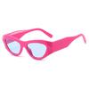 Cross-Border Cat-Eye Flat-Top Glasses with Contrasting Colors: European/American Style, Floral Wide Temples, Trendy Fashion Frame