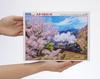 Beverly in Beverly Jigsaw Oigawa Railway and Cherry Blossoms x 53 (BEVERLY) [Made Japan] 600-006 600-Piece Puzzle (38 cm)
